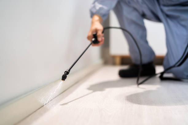 Licensed Pest Control service in Woodbury Heights, NJ - Nex Pest Control