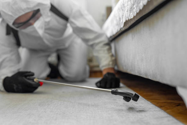 Professional Pest Control technician working in Woodbury Heights, NJ