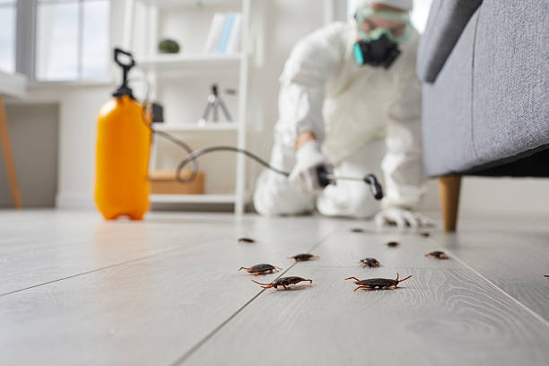 Trusted Termite Control service in Woodbury Heights, NJ - Nex Pest Control